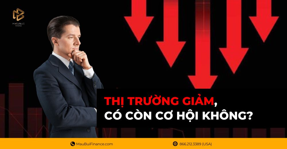 Thị trường giảm, có còn cơ hội không?