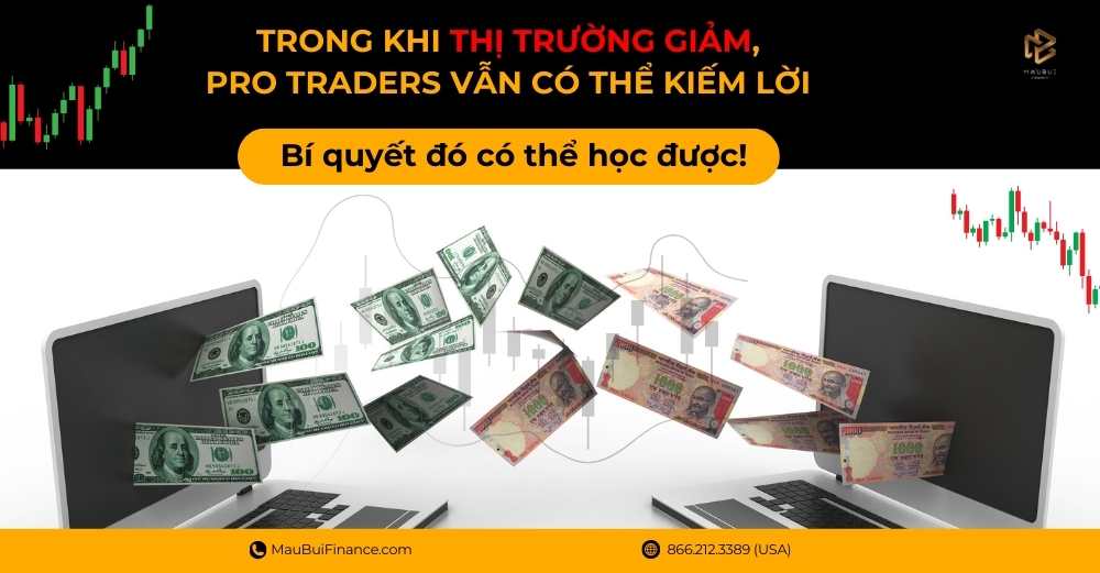 Trong khi thị trường giảm, Pro Traders vẫn có thể kiếm lời. Bí quyết đó có thể học được!