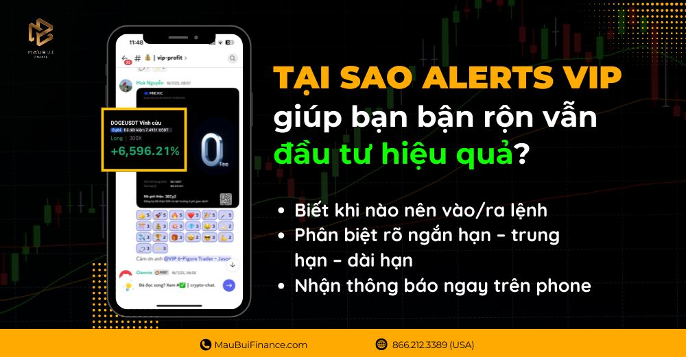 Tại sao Alerts VIP giúp bạn bận rộn vẫn đầu tư hiệu quả?