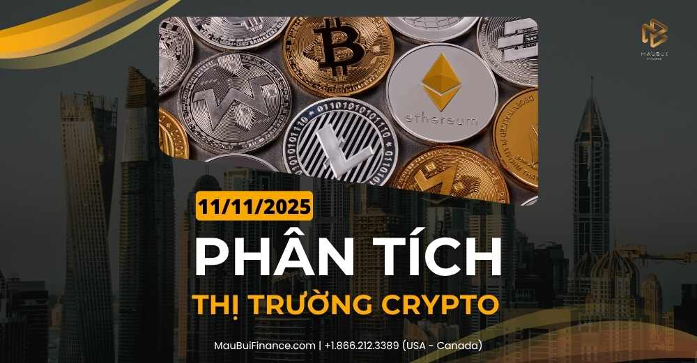 Phân tích thị trường Crypto trong Livestream Youtube 11/11/2025