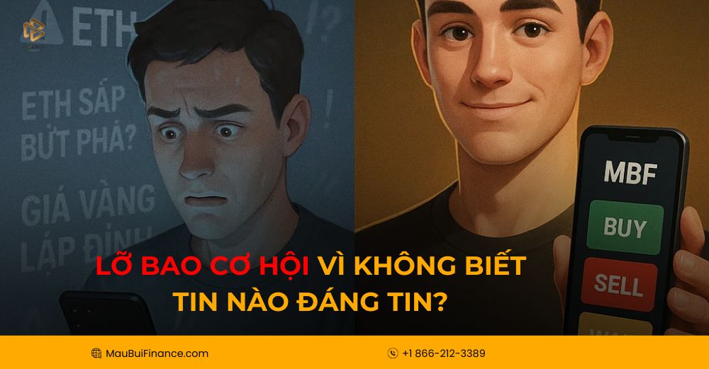 Lỡ Bao Cơ Hội Vì Không Biết Tin Nào Đáng Tin? Giải Pháp Cho Nhà Đầu Tư Thông Minh