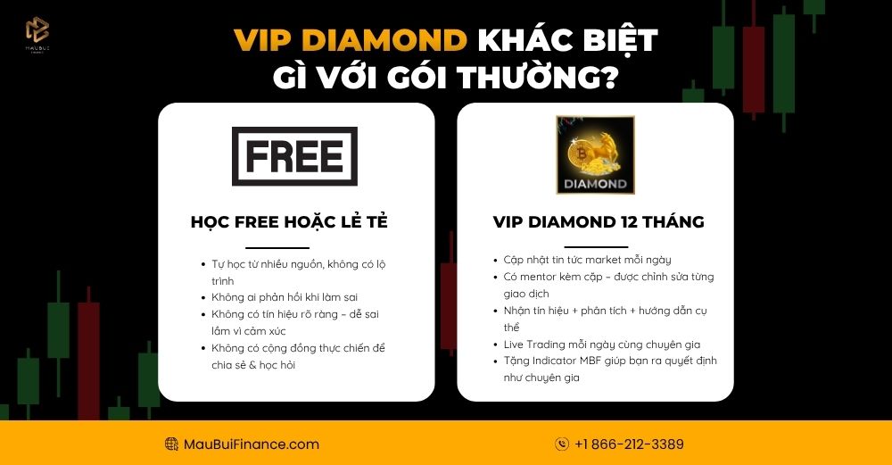 VIP Diamond – Khác biệt gì với gói thường?