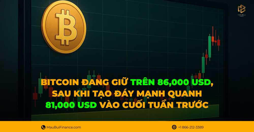 Bitcoin đang giữ trên 86,000 USD, sau khi tạo đáy mạnh quanh 81,000 USD vào cuối tuần trước.