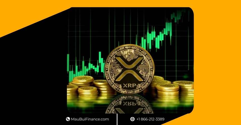 Truebit sụp đổ 99%, Ripple được “bật đèn xanh”, Morgan Stanley nhảy vào Bitcoin, CZ phản công chiến lược BNB, và cược 400.000 USD gây chấn động Polymarket – thị trường crypto khởi đầu 2026 đầy biến động