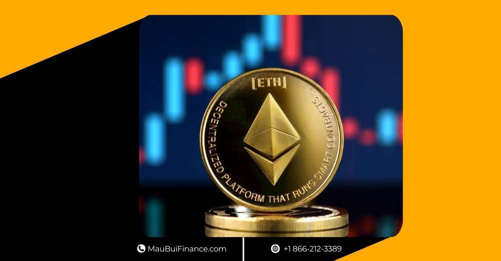 Cá voi rút lui, Elon Musk “vào trận”, Ethereum âm thầm tích luỹ: 5 tín hiệu lớn cho thị trường crypto đầu năm 2026