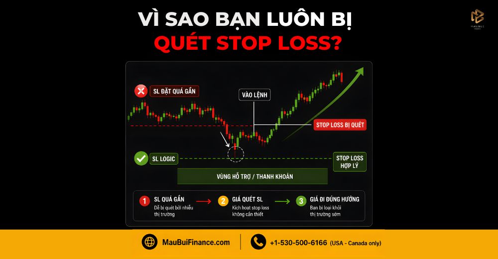 Vì Sao Bạn Luôn Bị Quét Stop Loss? Cách Đặt SL Đúng Logic Để Không Mất Tiền Oan
