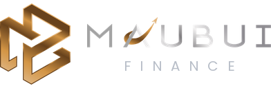 Mau Bui Finance LLC